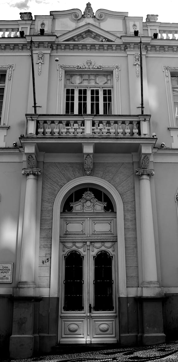 Detalhe do motif milieu da fachada principal. Casa Andrade Muricy, em Curitiba - 2008.