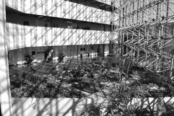 Jardim interno do Anexo da Assembleia Legislativa do Paraná, em Curitiba - 2009.